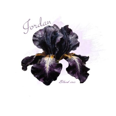 Black iris Thumbnail